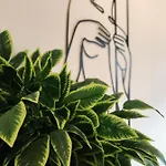 Green Stone Apartment III